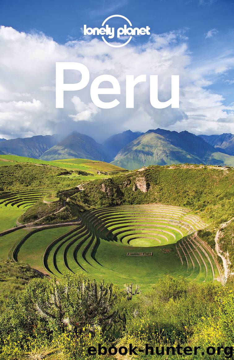 Lonely Planet Peru by Lonely Planet