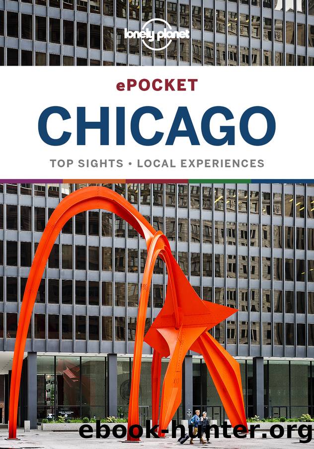 Lonely Planet Pocket Chicago by Lonely Planet