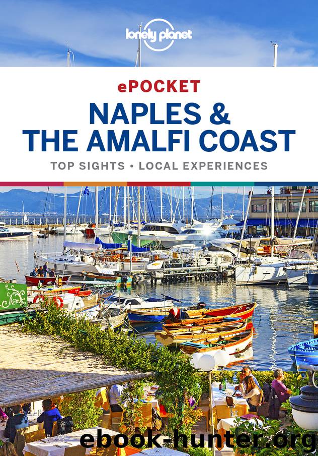 Lonely Planet Pocket Naples & the Amalfi Coast by Lonely Planet