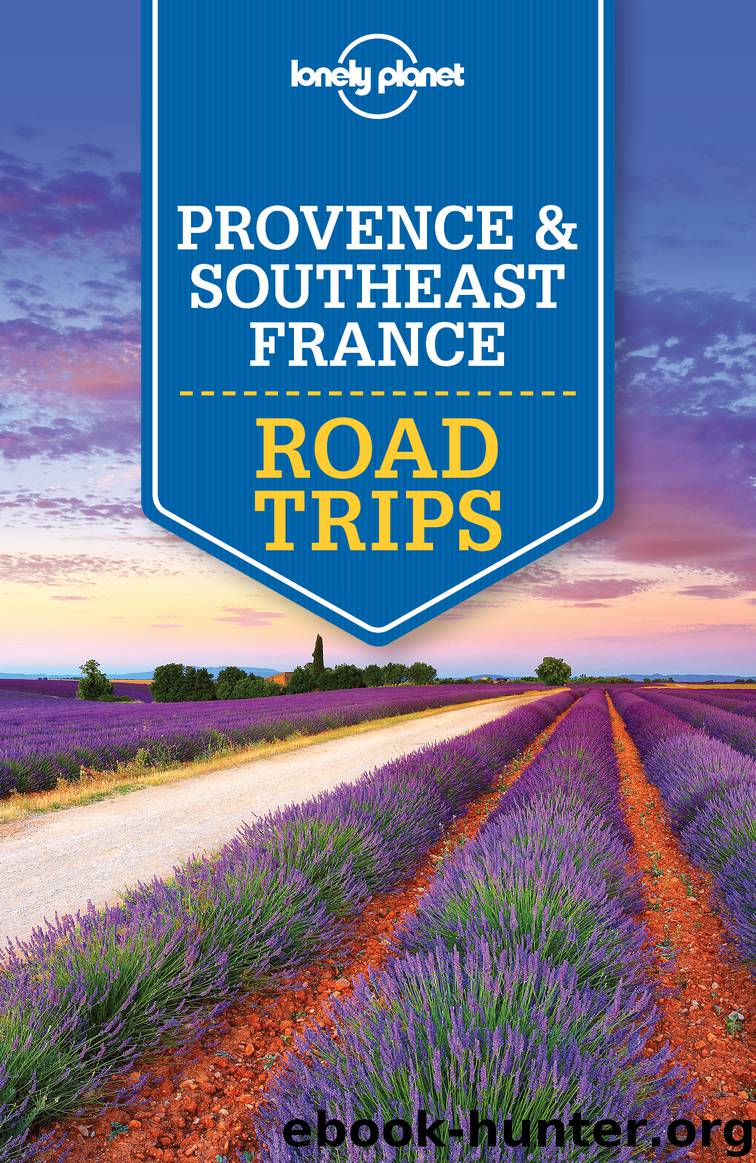 Lonely Planet Provence & Southeast France Road Trips by Lonely Planet