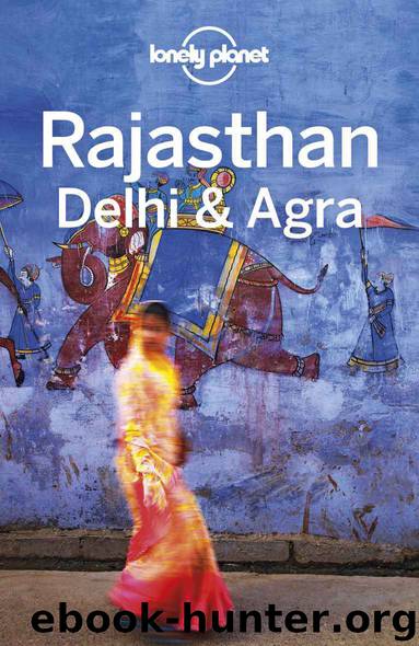 Lonely Planet Rajasthan, Delhi & Agra (Travel Guide) by Lonely Planet & Michael Benanav & Abigail Blasi & Lindsay Brown