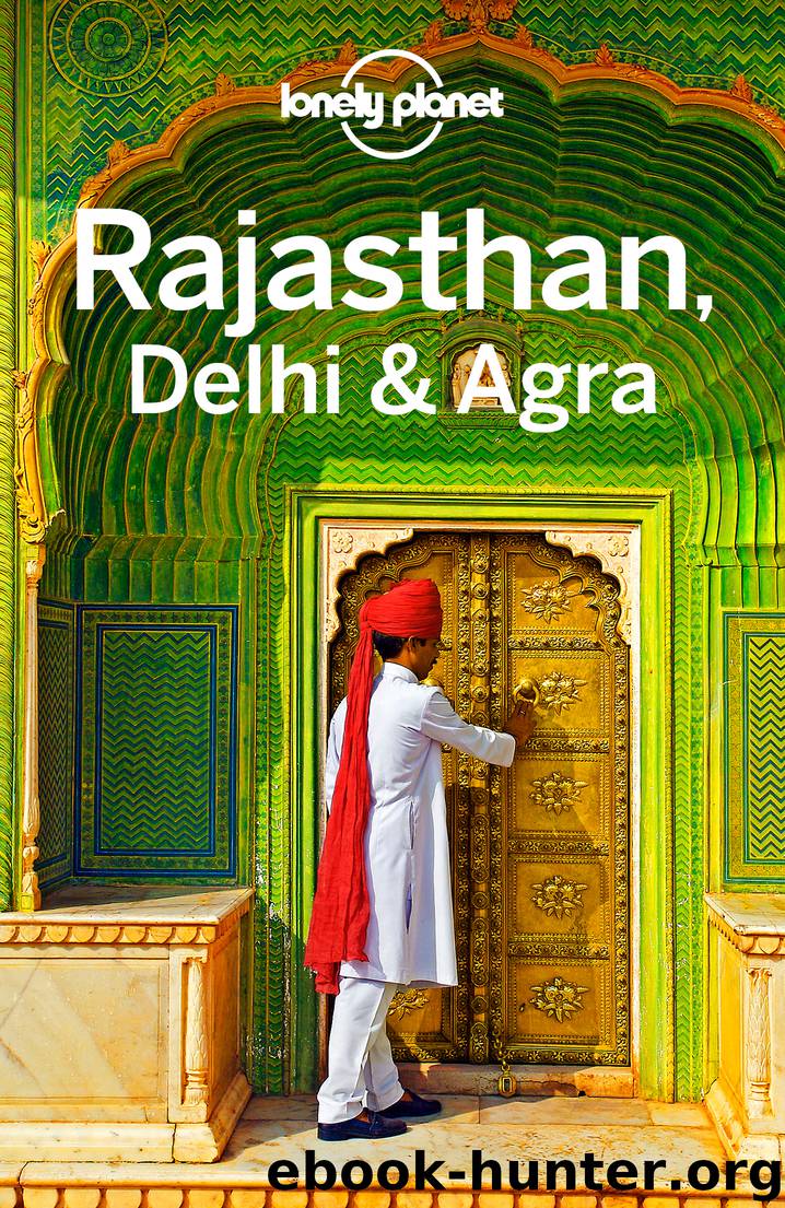Lonely Planet Rajasthan, Delhi & Agra by Lonely Planet