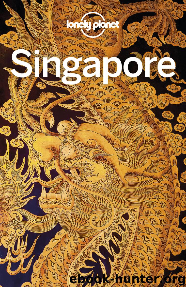 Lonely Planet Singapore by Lonely Planet