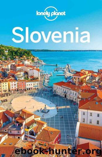 Lonely Planet Slovenia (Travel Guide) by Lonely Planet & Carolyn Bain & Steve Fallon