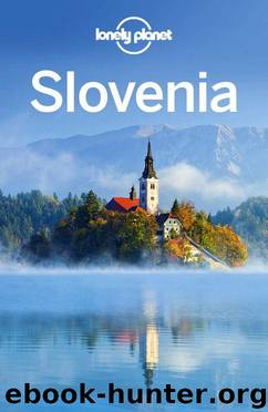 Lonely Planet Slovenia (Travel Guide) by Planet Lonely & Mark Baker & Paul Clammer & Steve Fallon