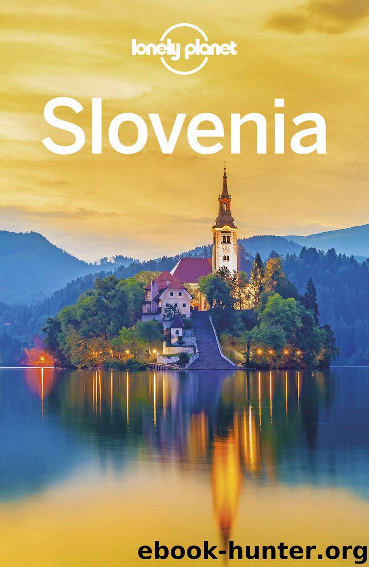 Lonely Planet Slovenia by Lonely Planet