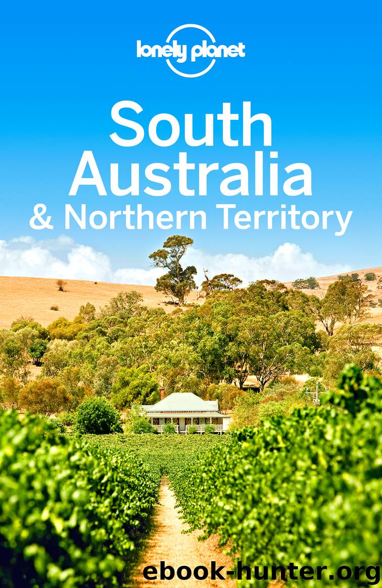 Lonely Planet South Australia & Northern Territory by Lonely Planet