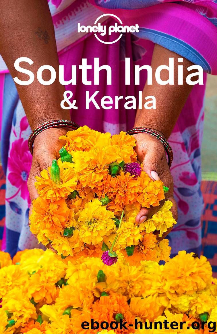 Lonely Planet South India & Kerala by Lonely Planet