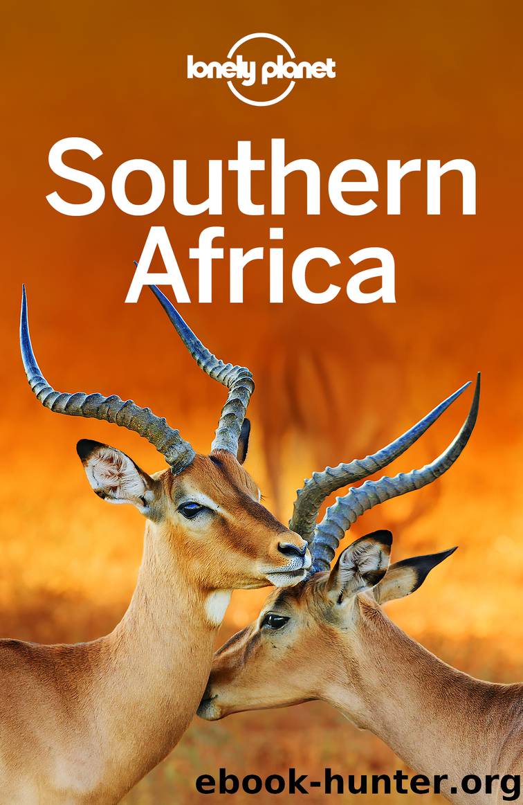 Lonely Planet Southern Africa by Lonely Planet