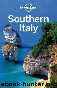 Lonely Planet Southern Italy (Travel Guide) by Lonely Planet & Cristian Bonetto & Gregor Clark & Helena Smith