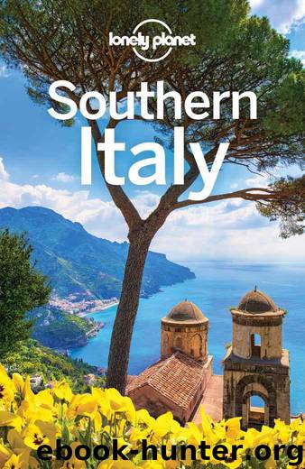 Lonely Planet Southern Italy (Travel Guide) by Planet Lonely & Bonetto Cristian & Clark Gregor & McNaughtan Hugh