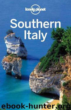 Lonely Planet Southern Italy (Travel Guide) by Planet Lonely & Bonetto Cristian & Clark Gregor & Smith Helena
