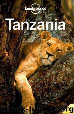 Lonely Planet Tanzania (Travel Guide) by Lonely Planet