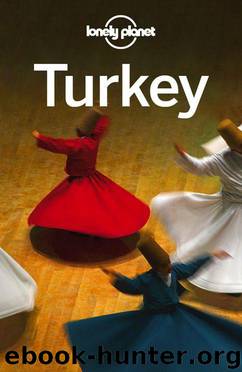 Lonely Planet Turkey (Travel Guide) by Planet Lonely & James Bainbridge & Brett Atkinson & Chris Deliso & Steve Fallon & Will Gourlay & Jessica Lee & Virginia Maxwell & Tom Spurling