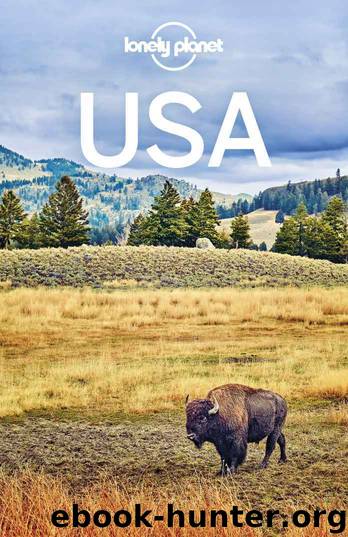 Lonely Planet USA (Travel Guide) by unknow
