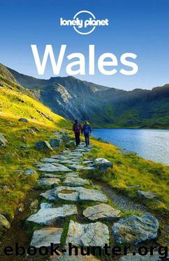 Lonely Planet Wales (Travel Guide) by Planet Lonely & Dragicevich Peter & O'Carroll Etain & Smith Helena