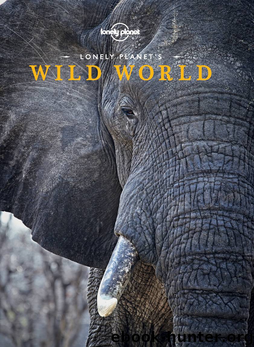 Lonely Planet Wild World by Lonely Planet