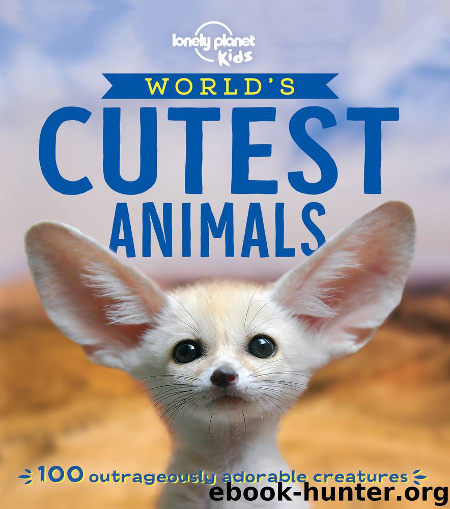 Lonely Planet World’s Cutest Animals by Lonely Planet