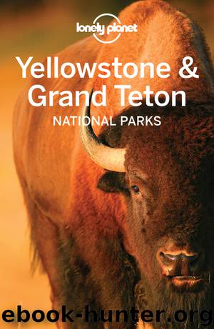 Lonely Planet Yellowstone & Grand Teton by Lonely Planet