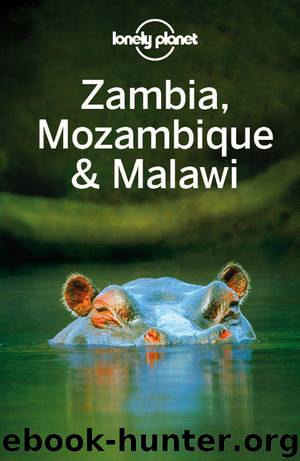 Lonely Planet Zambia, Mozambique & Malawi (Travel Guide) by Planet Lonely & Fitzpatrick Mary & Grosberg Michael & Holden Trent & Morgan Kate & Ray Nick & Waters Richard
