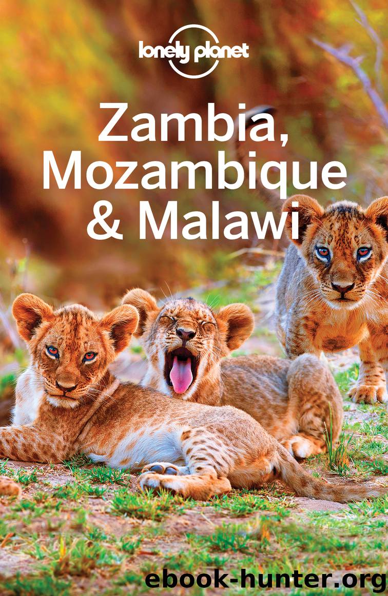 Lonely Planet Zambia, Mozambique & Malawi by Lonely Planet