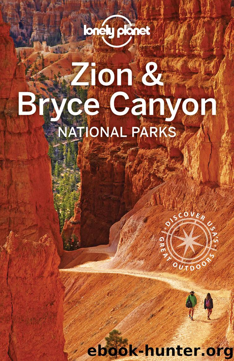 Lonely Planet Zion & Bryce Canyon National Parks by Lonely Planet