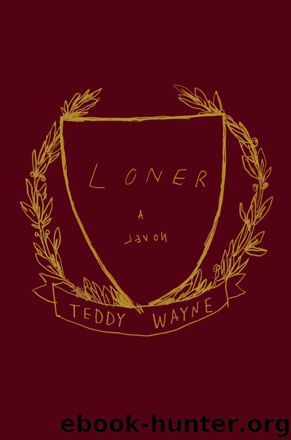 Loner: A Novel by Teddy Wayne