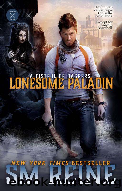 Lonesome Paladin by SM Reine