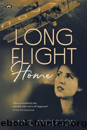 Long Flight Home by Lainie Anderson