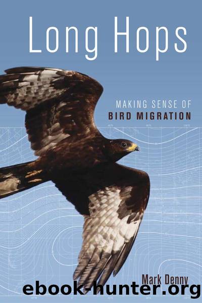 Long Hops by Mark Denny