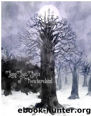 Long Lost Boys of Nowhereland by Unknown