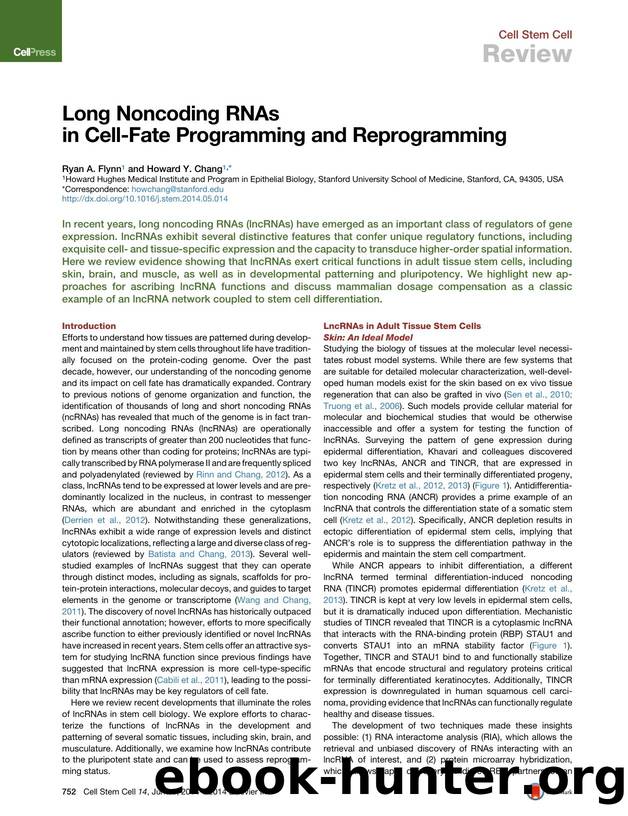 Long Noncoding RNAs in Cell-Fate Programming and Reprogramming by Ryan A. Flynn & Howard Y. Chang