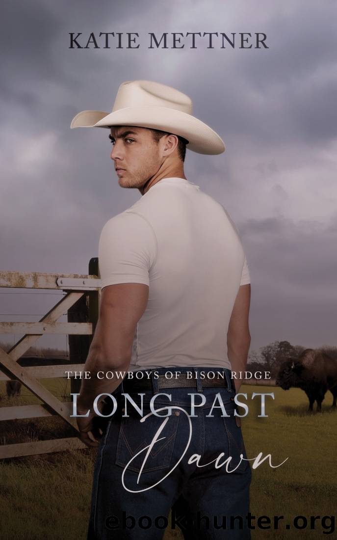 Long Past Dawn by Katie Mettner