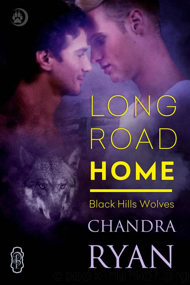 Long Road Home by Ryan Chandra