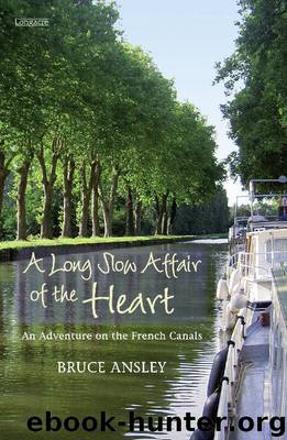 Long Slow Affair of the Heart, A by Ansley Bruce