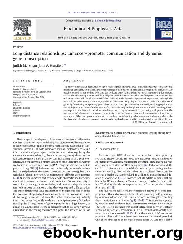 Long distance relationships: Enhancerâpromoter communication and dynamic gene transcription by Judith Marsman & Julia A. Horsfield