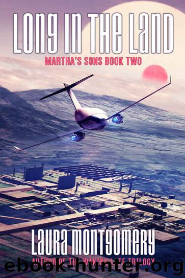 Long in the Land by Laura Montgomery