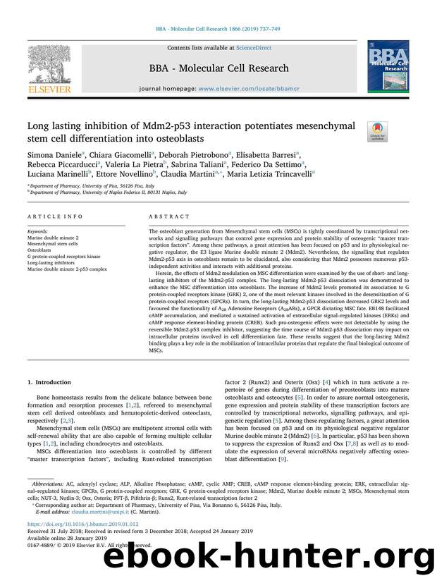 Long lasting inhibition of Mdm2-p53 interaction potentiates mesenchymal stem cell differentiation into osteoblasts by unknow
