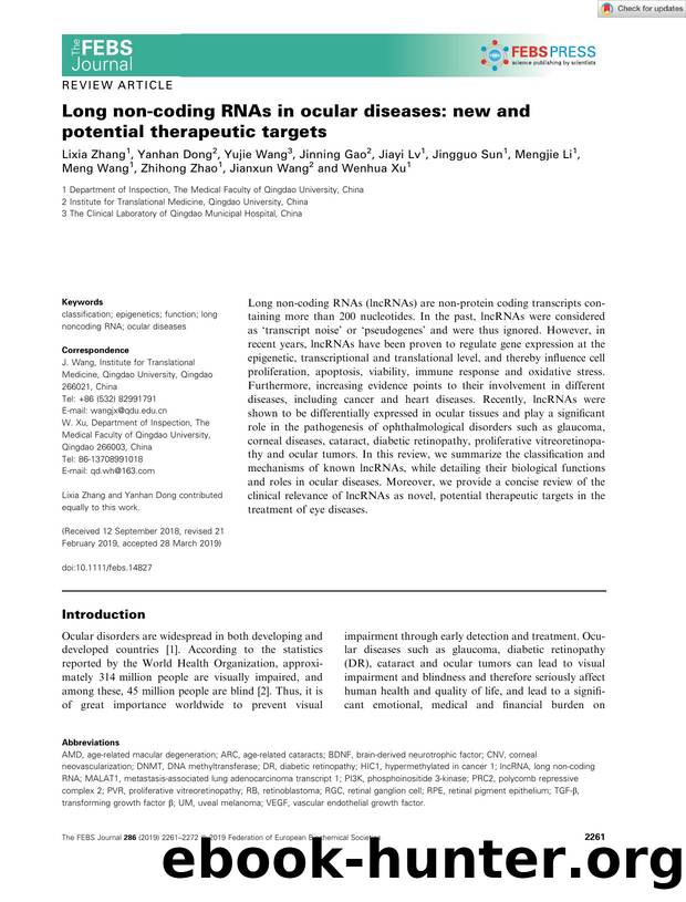 Long nonâcoding RNAs in ocular diseases: new and potential therapeutic targets by Unknown