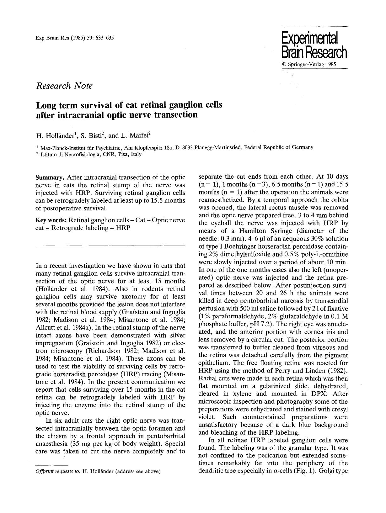 Long term survival of cat retinal ganglion cells after intracranial optic nerve transection by Unknown