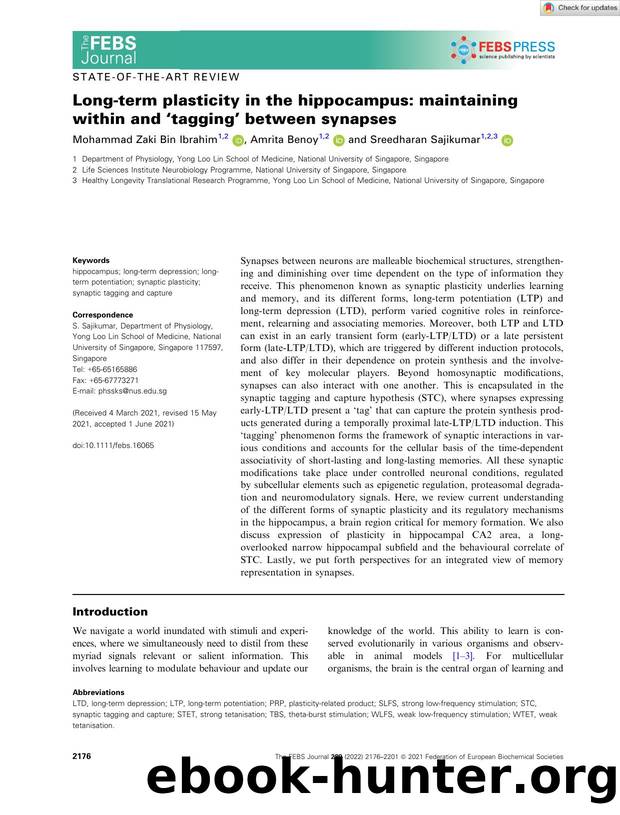 Longâterm plasticity in the hippocampus: maintaining within and âtaggingâ between synapses by Unknown