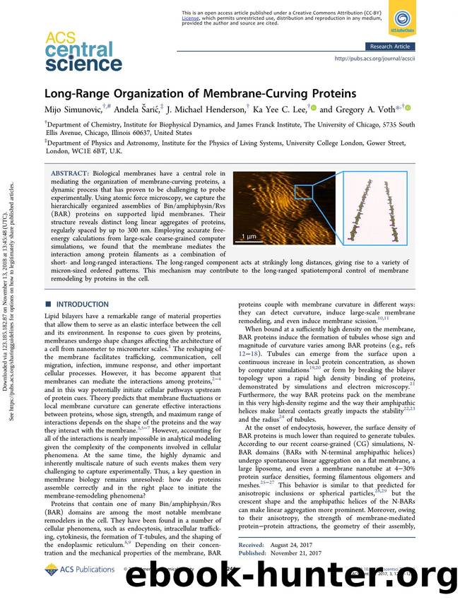 Long-Range Organization of Membrane-Curving Proteins by Mijo Simunovic Anđela Šarić J. Michael Henderson Ka Yee C. Lee & Gregory A. Voth