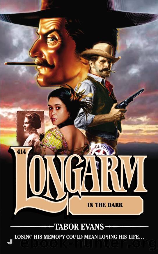 Longarm in the Dark by Tabor Evans