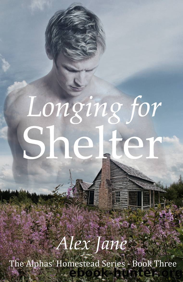 Longing for Shelter by Alex Jane
