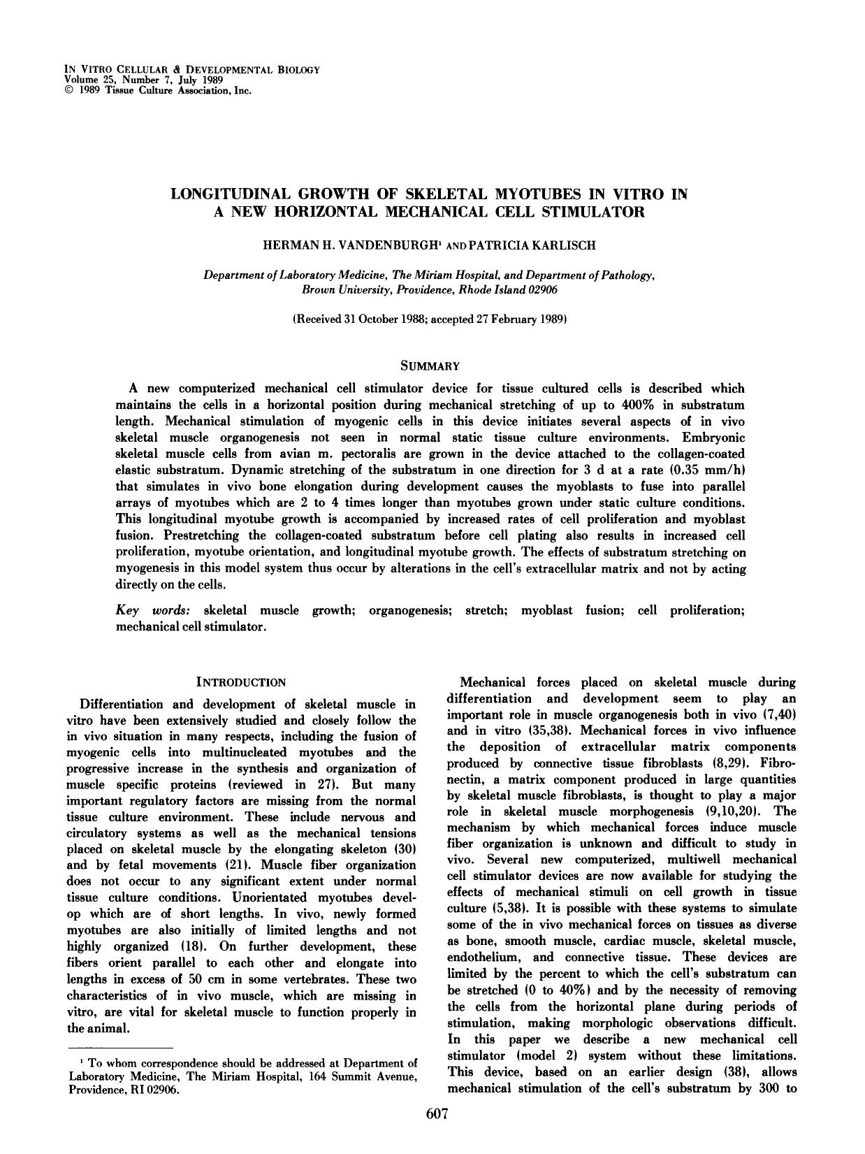 Longitudinal growth of skeletal myotubes in vitro in a new horizontal mechanical cell stimulator by Unknown