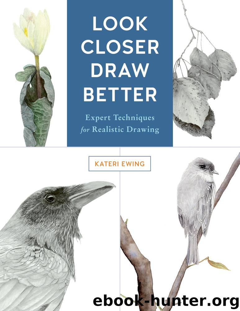 Look Closer, Draw Better by Kateri Ewing