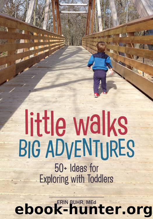 Look Inside! Little Walks, Big Adventures by Erin Buhr