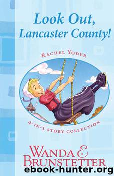 Look Out, Lancaster County by Wanda E. Brunstetter