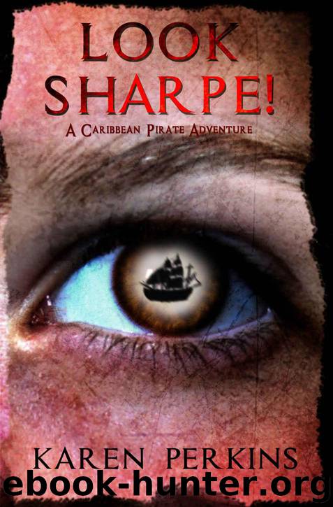 Look Sharpe!: A Caribbean Pirate Adventure Novella (The Valkyrie Series Book 3) by Karen Perkins