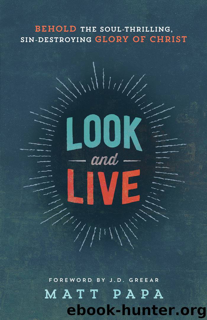 Look and Live by Matt Papa